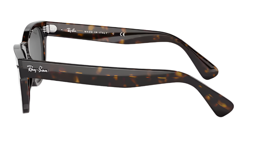 RAYBAN LARAMIE RB 2201 902/B1