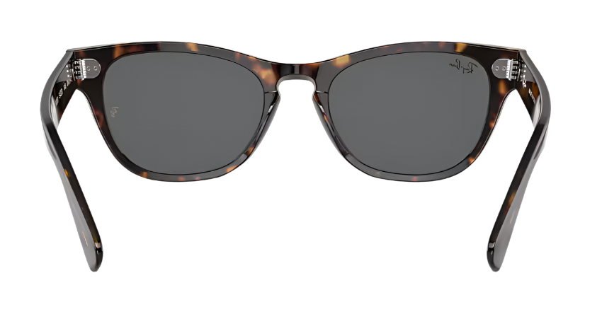 RAYBAN LARAMIE RB 2201 902/B1
