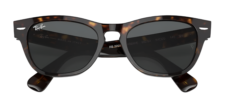 RAYBAN LARAMIE RB 2201 902/B1