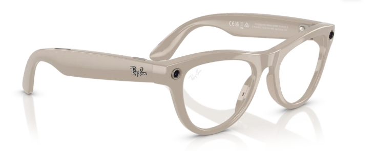 RAYBAN META 4010 SKYLER TRANSITION