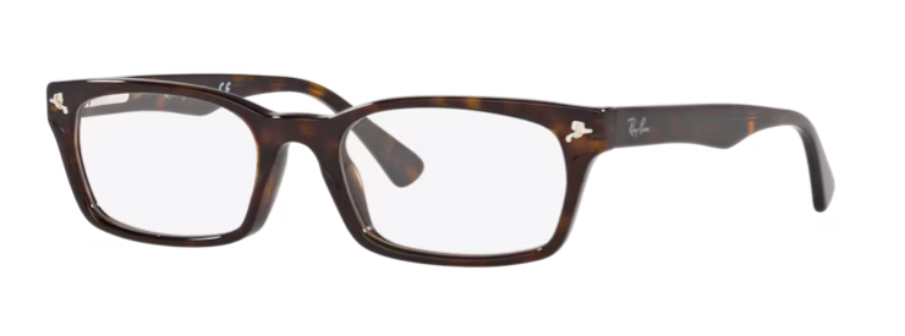 RAYBAN RX 5017