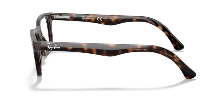 RAYBAN RX 5228