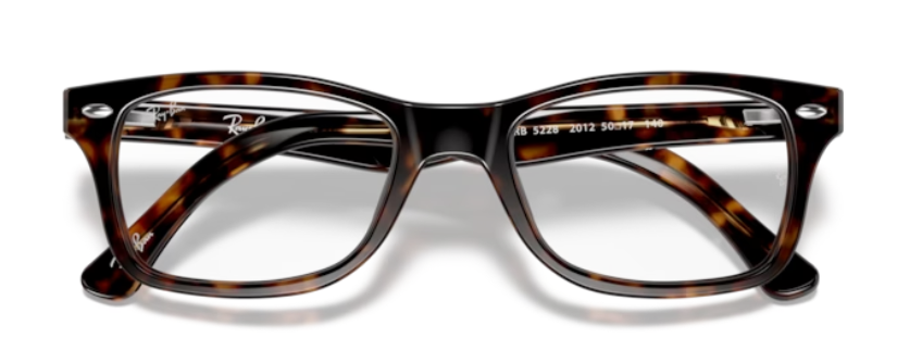 RAYBAN RX 5228