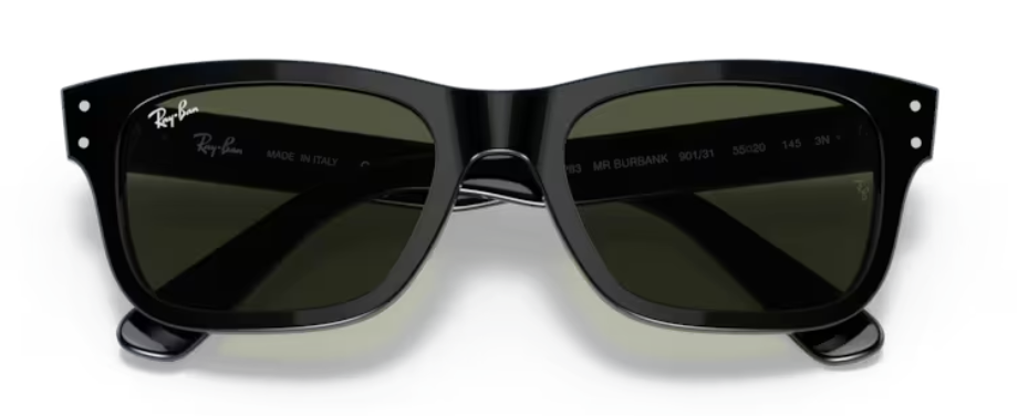 RAYBAN MR BURBANK RB2283