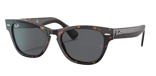 RAYBAN LARAMIE RB 2201 902/B1