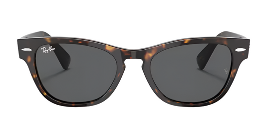 RAYBAN LARAMIE RB 2201 902/B1
