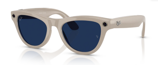 RAYBAN META 4010 SKYLER TRANSITION