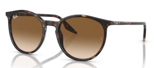 RAYBAN 2204