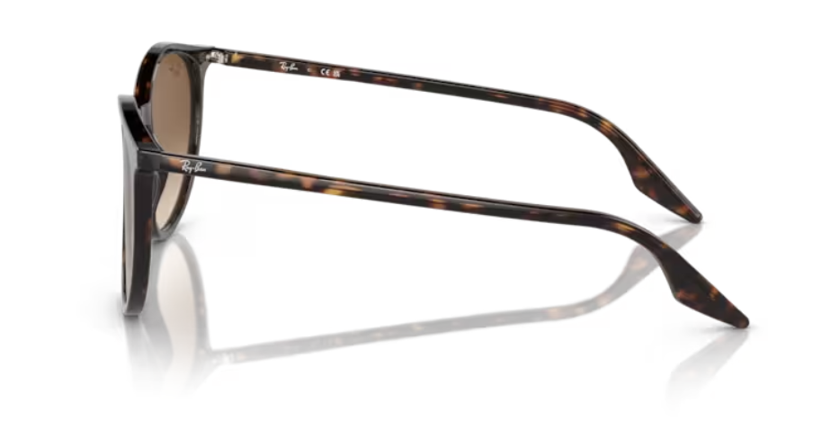 RAYBAN 2204