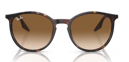 RAYBAN 2204