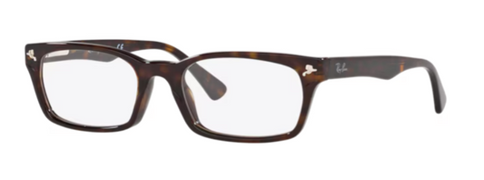 RAYBAN RX 5017