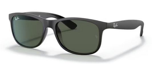 RAYBAN ANDY 4202