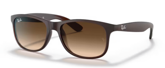 RAYBAN ANDY 4202