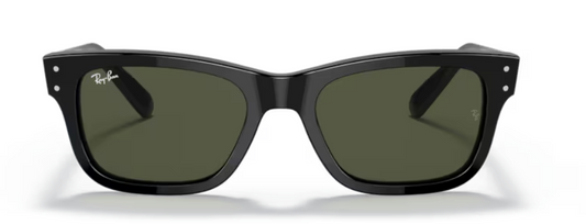 RAYBAN MR BURBANK RB2283