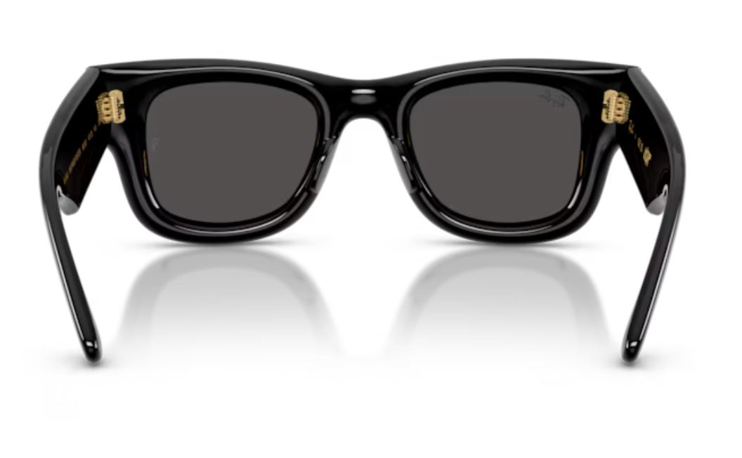 RAYBAN WAYFARER PUFFER 4940